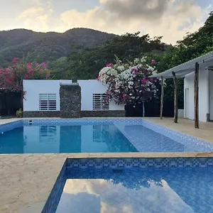 Tayrona Bahia Concha