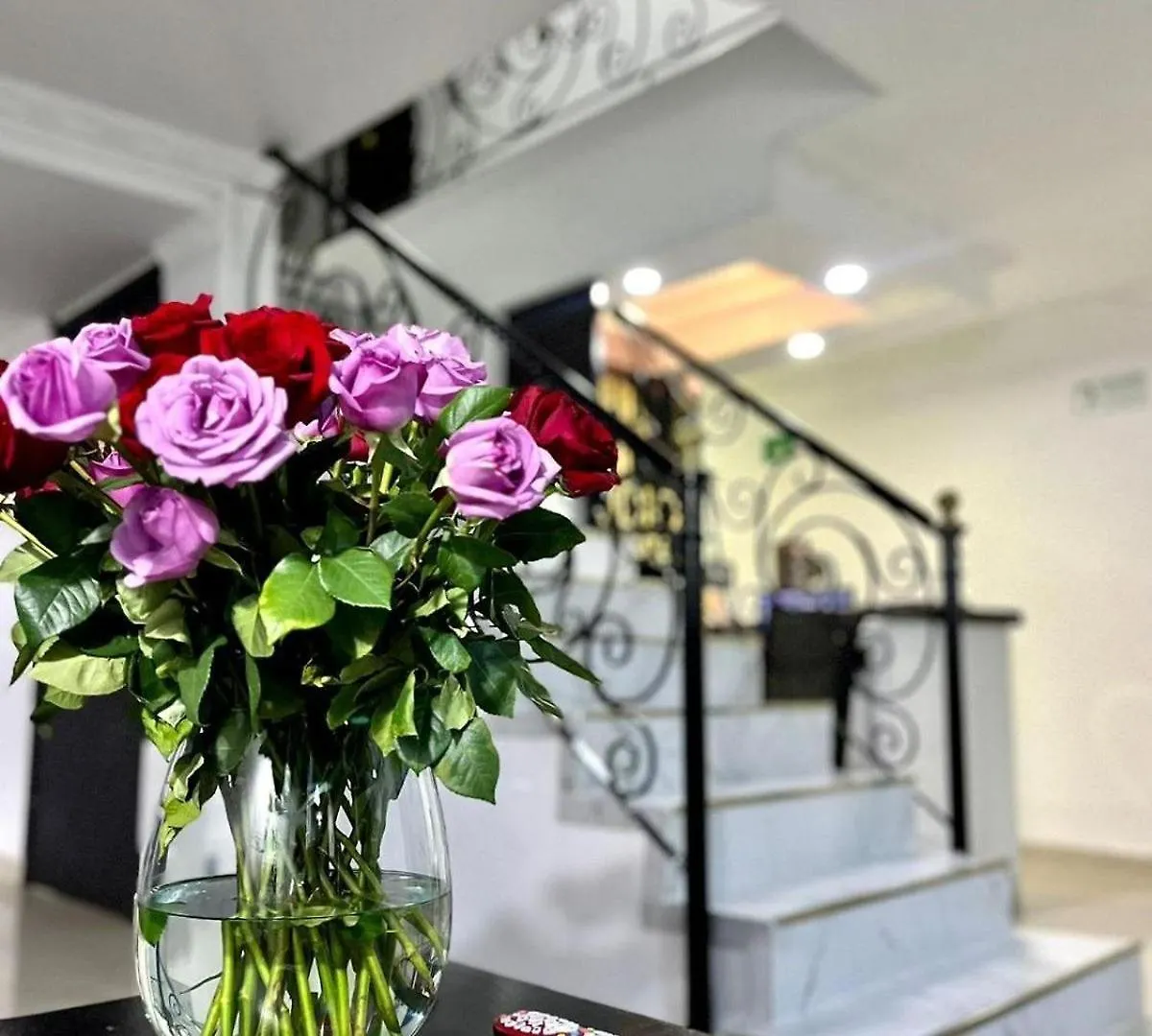 House Studio Hotel Bogota Colombia